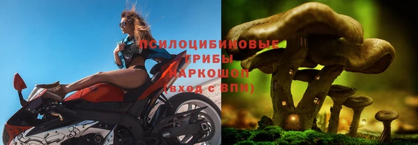 дурь Михайловка