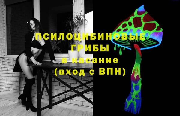 метадон Михайловск