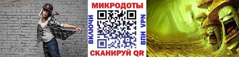 Галлюциногенные грибы Psilocybe  Тихвин 