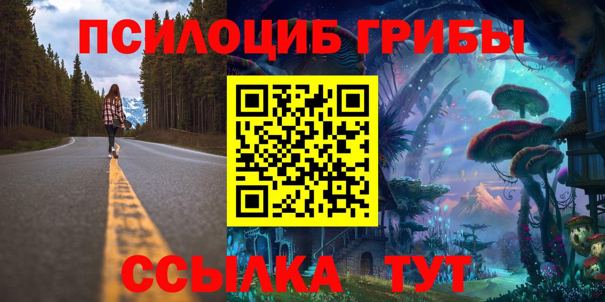 Галлюциногенные грибы Psilocybine cubensis  Вход с VPN  Тихвин 