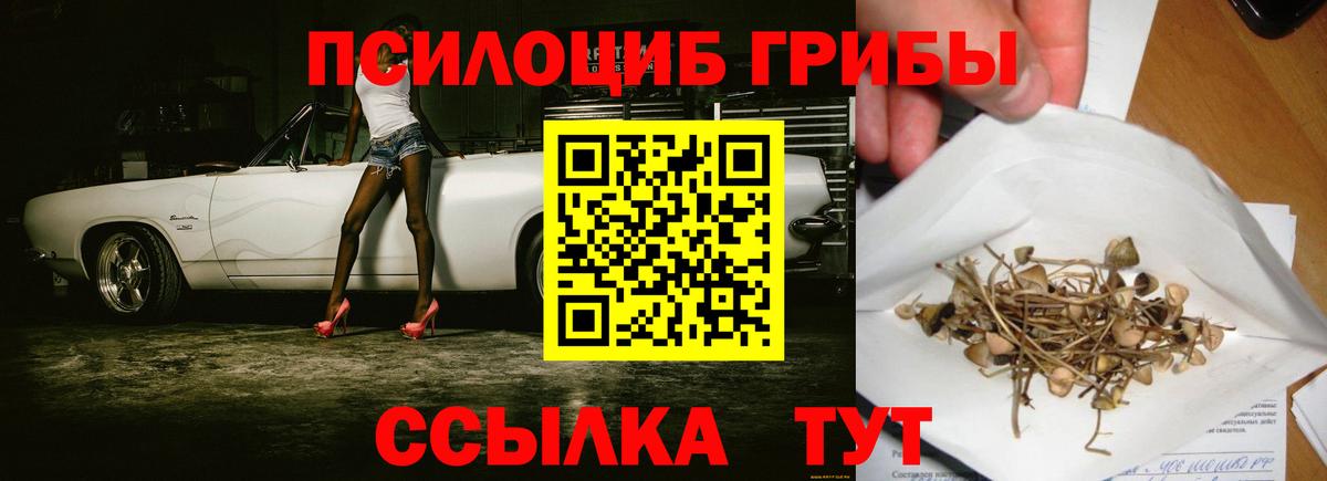 Галлюциногенные грибы Psilocybine cubensis Тихвин